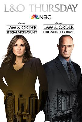 法律与秩序组织犯罪第二季第2集