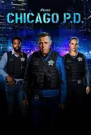 芝加哥警署 第十一季第02集