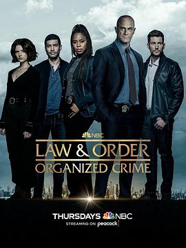 法律与秩序：组织犯罪第三季07